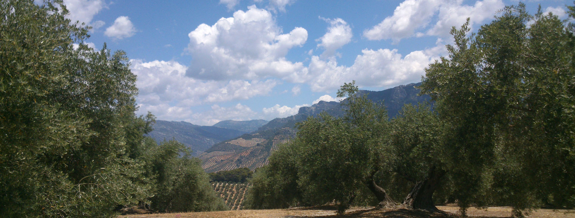 API Sierra de las Villas