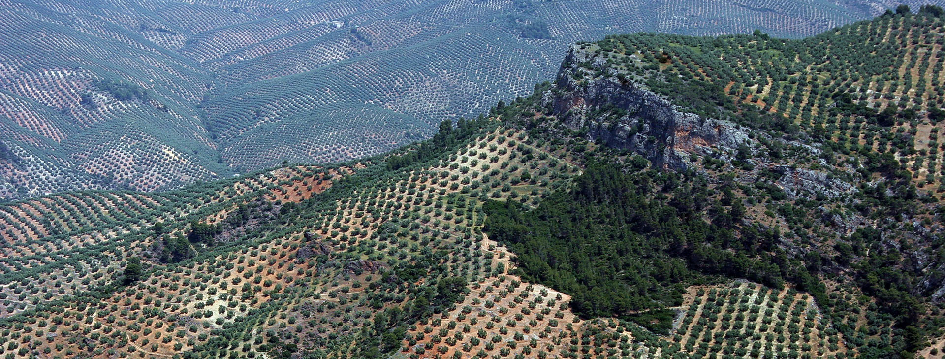 Web Api Sierra de las Villas