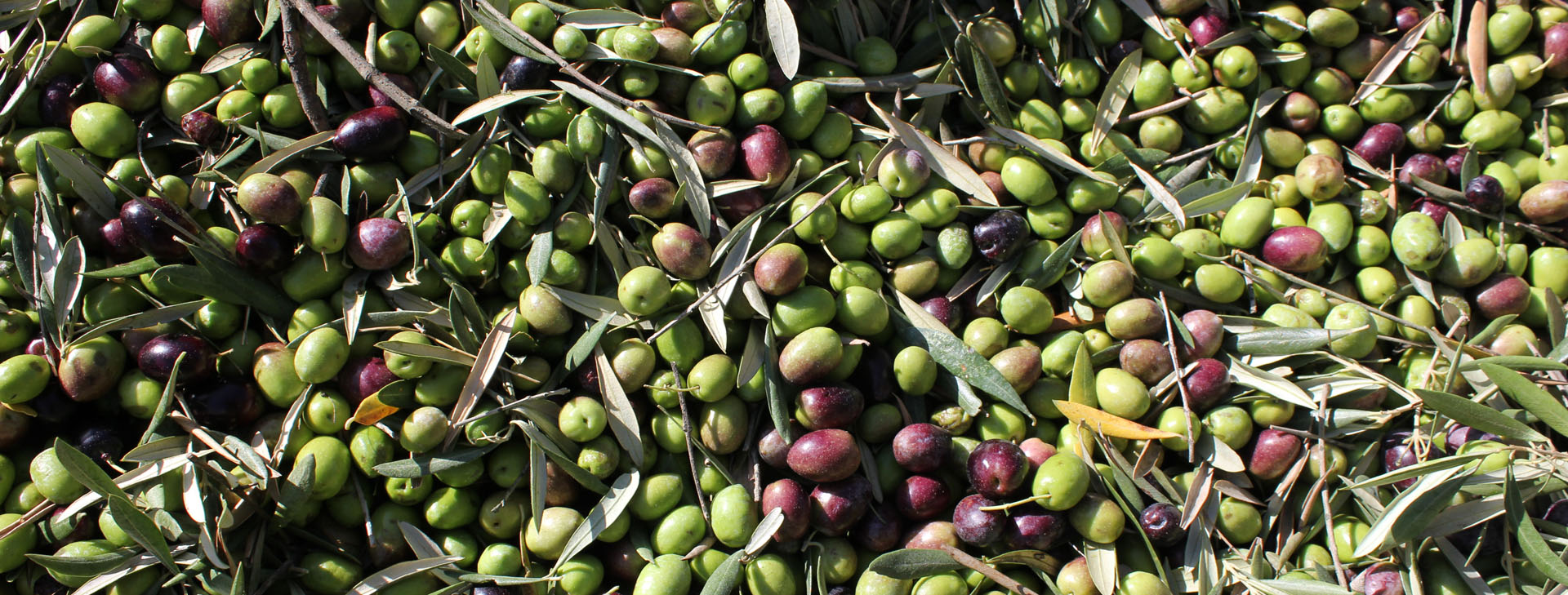 Sierra de las Villas API