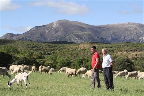 Uno de cada tres beneficiarios de la PAC está jubilado y cobra 600 € de pensión de media